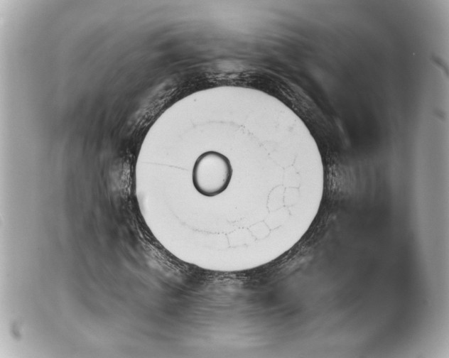 X0000100230820200805301410