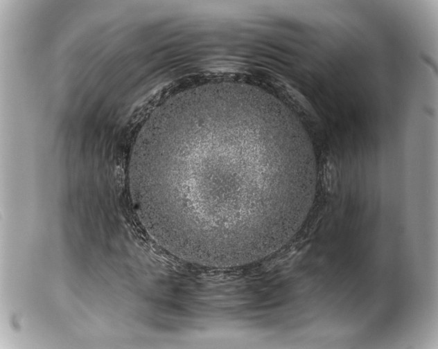 X0000100230821200805301410