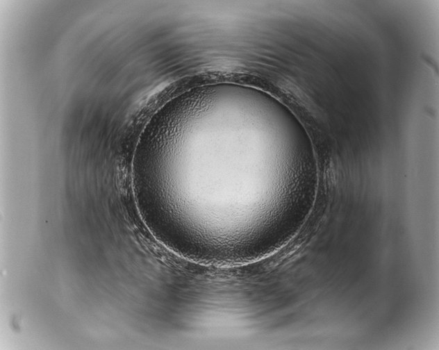 X0000100230822200805301410
