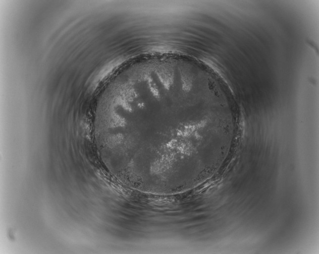 X0000100230823200805301410