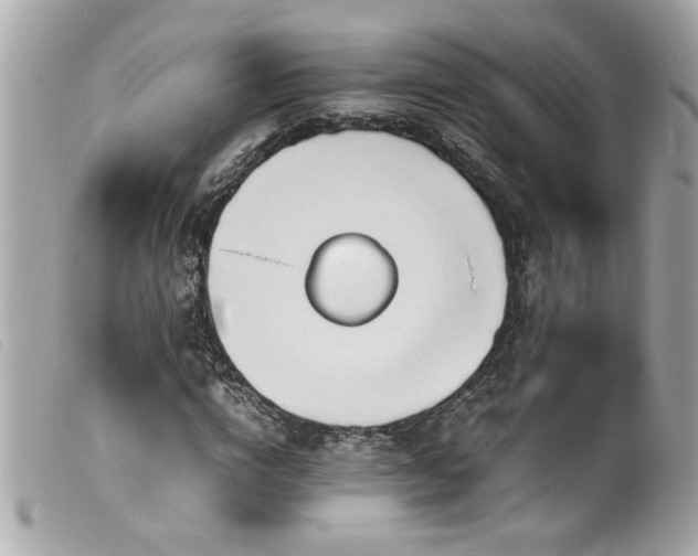 X0000100230824200805301410