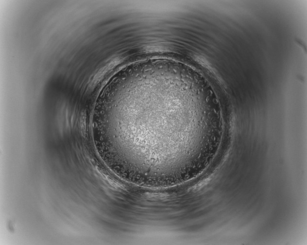 X0000100230825200805301410