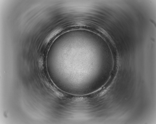 X0000100230826200805301410
