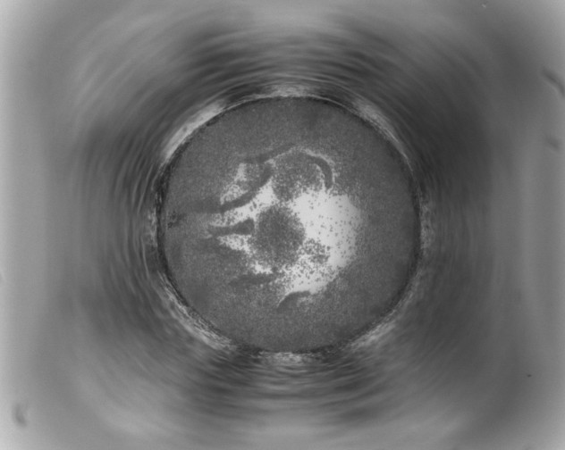 X0000100230827200805301410