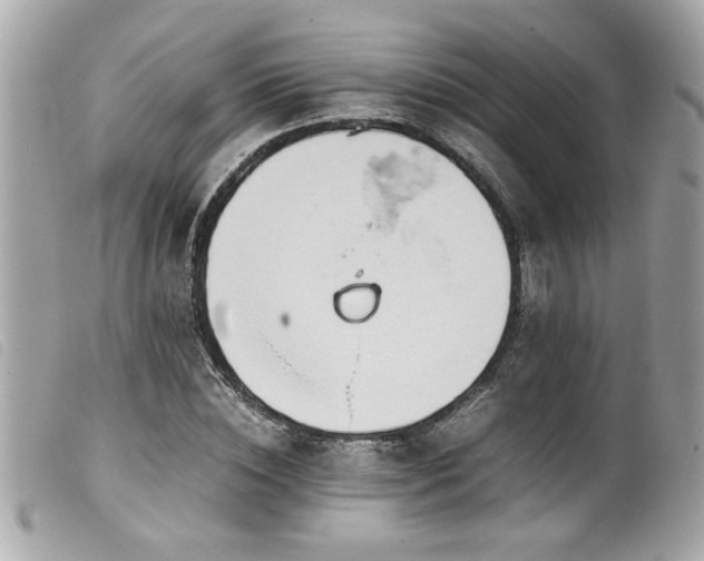 X0000100230828200805301411