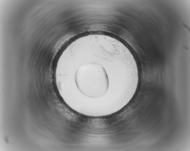 X0000100230832200805301411
