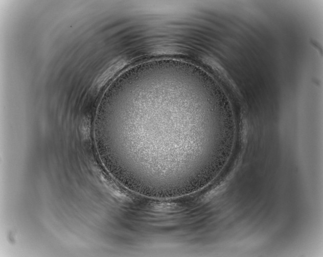 X0000100230833200805301411