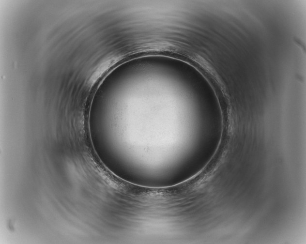 X0000100230834200805301411