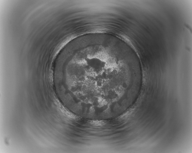X0000100230835200805301411