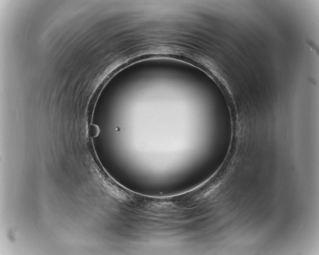 X0000100230837200805301411
