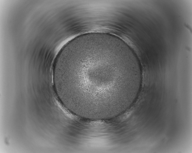 X0000100230838200805301411