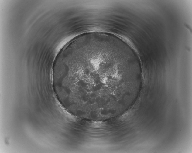 X0000100230839200805301411