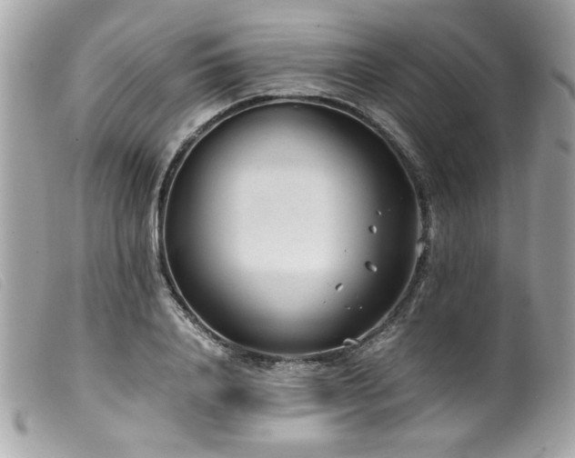 X0000100230840200805301411