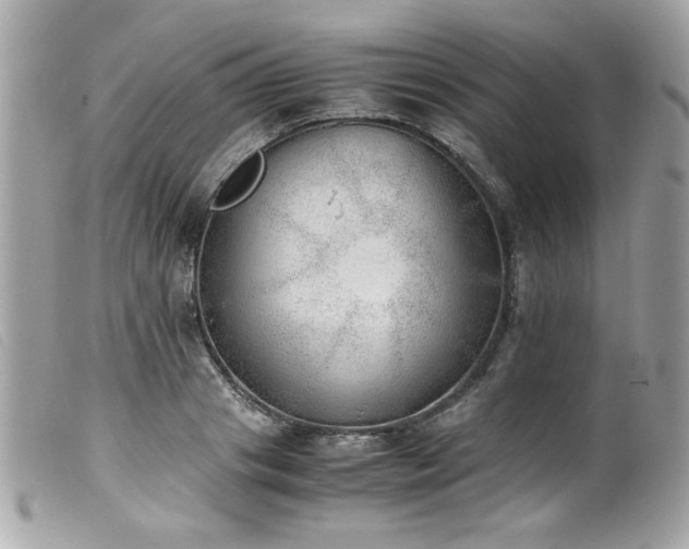 X0000100230841200805301411