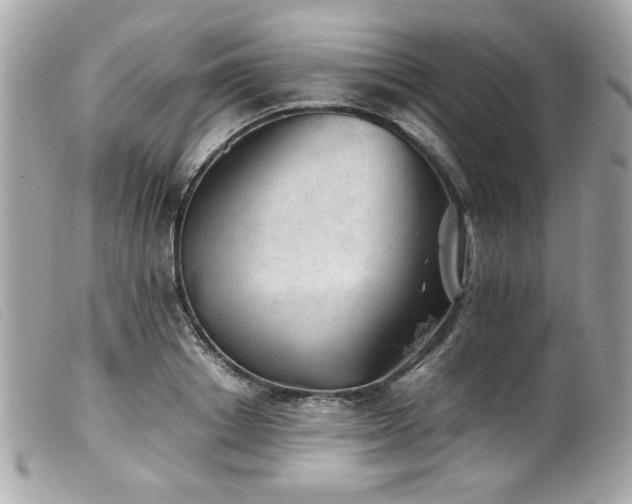X0000100230842200805301411
