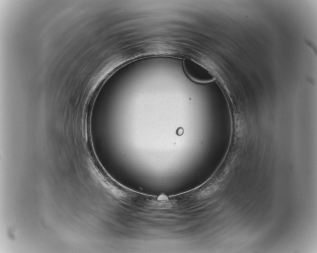 X0000100230843200805301411