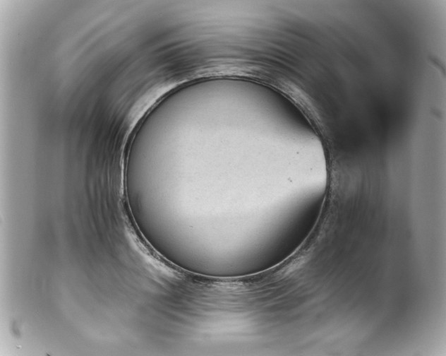 X0000100230844200805301411