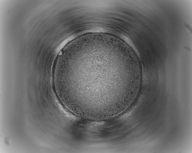 X0000100230845200805301411