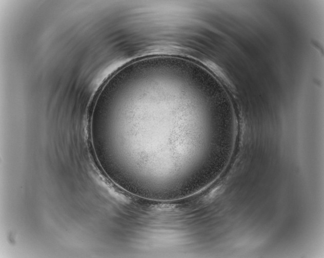 X0000100230846200805301411