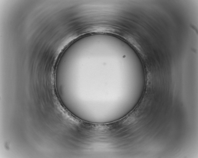 X0000100230848200805301411