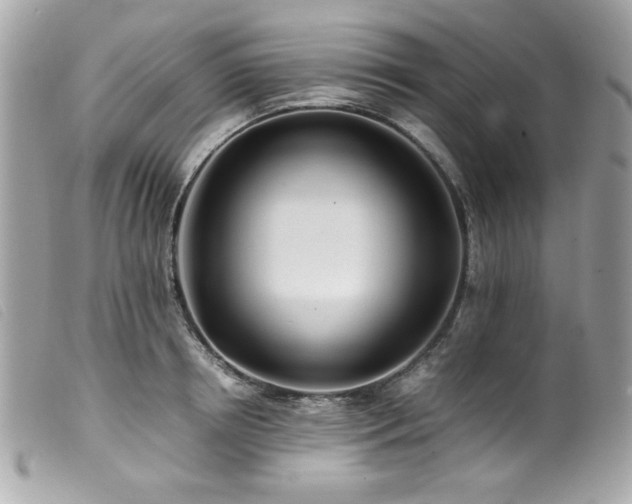 X0000100230850200805301411