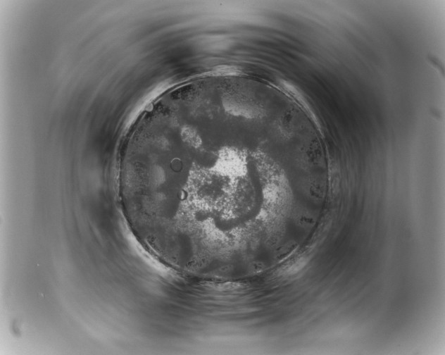X0000100230851200805301411
