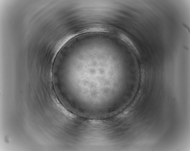 X0000100230852200805301411