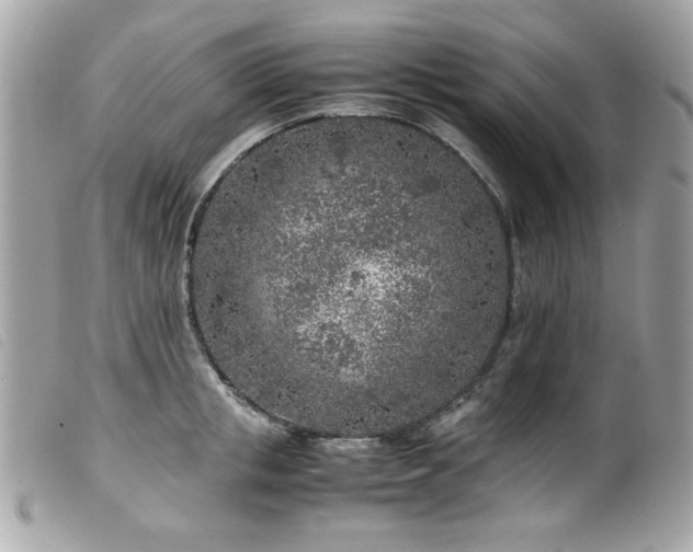 X0000100230853200805301411