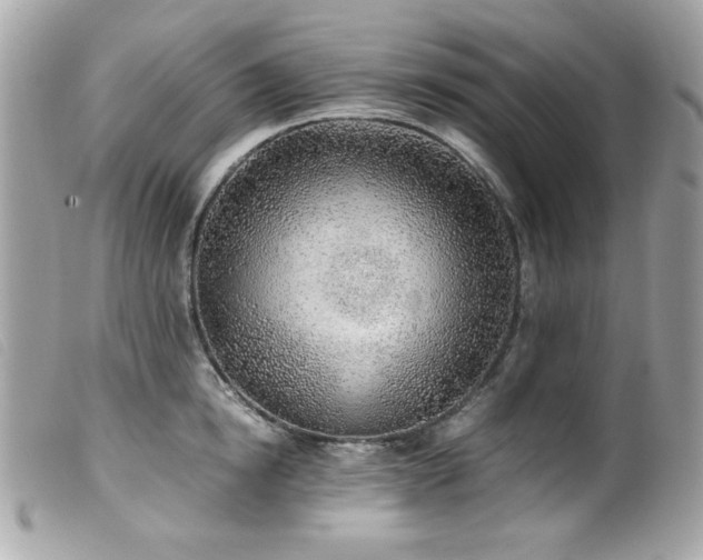 X0000100230854200805301411