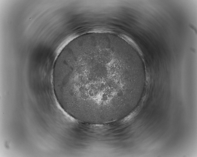 X0000100230855200805301411