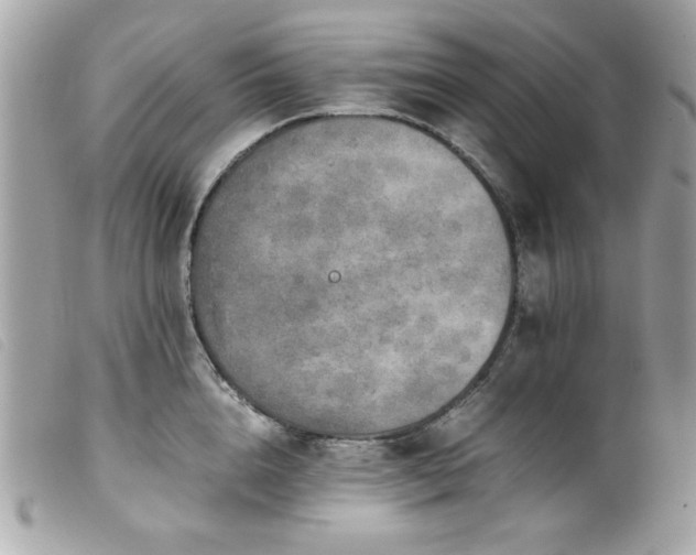 X0000100230856200805301411
