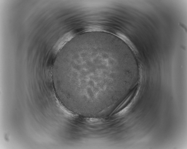 X0000100230857200805301411