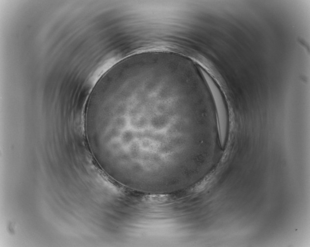 X0000100230858200805301411