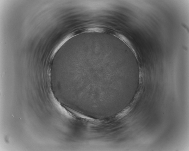 X0000100230859200805301411