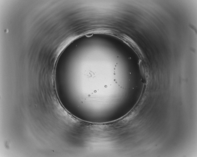 X0000100230860200805301411