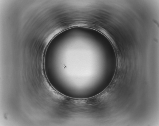X0000100230861200805301411