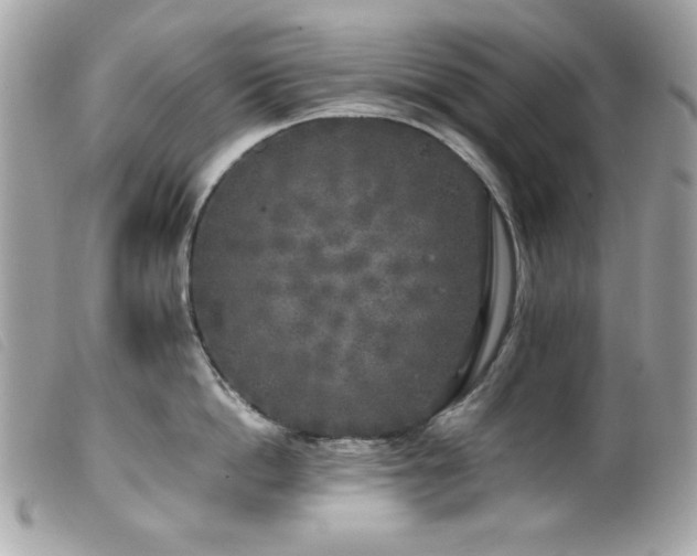 X0000100230862200805301411