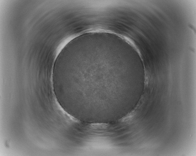 X0000100230863200805301411