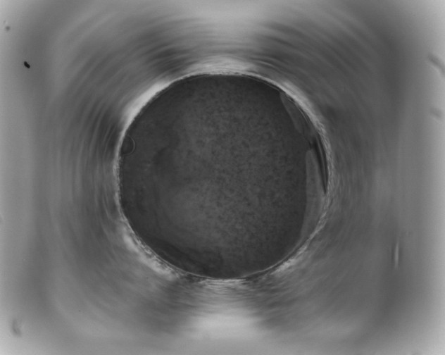 X0000100230864200805301411