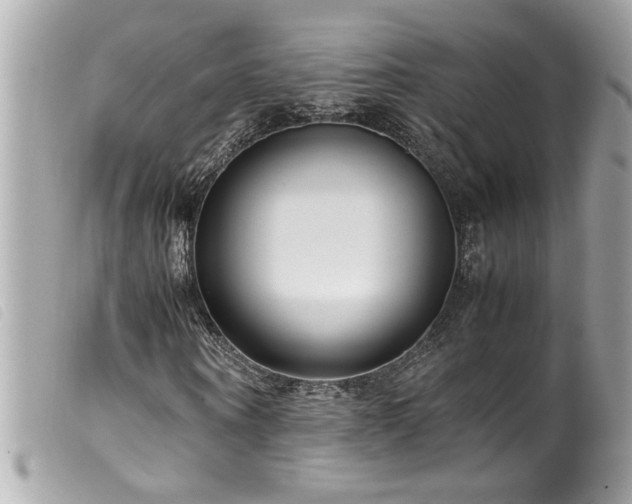 X0000100230866200805301410
