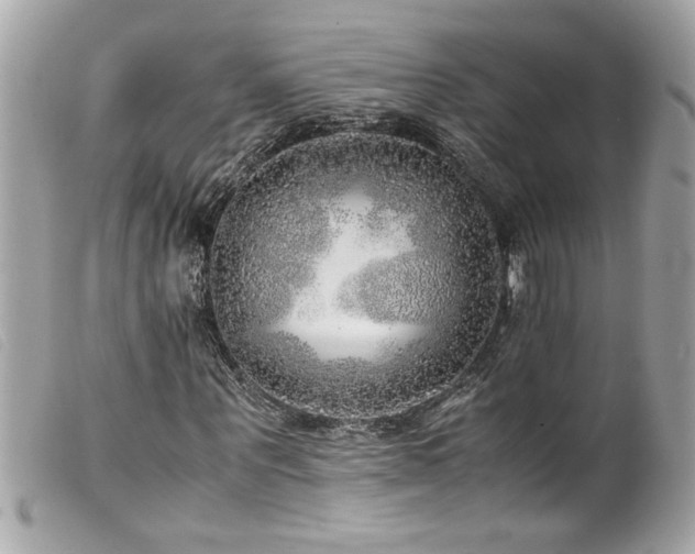X0000100230867200805301410