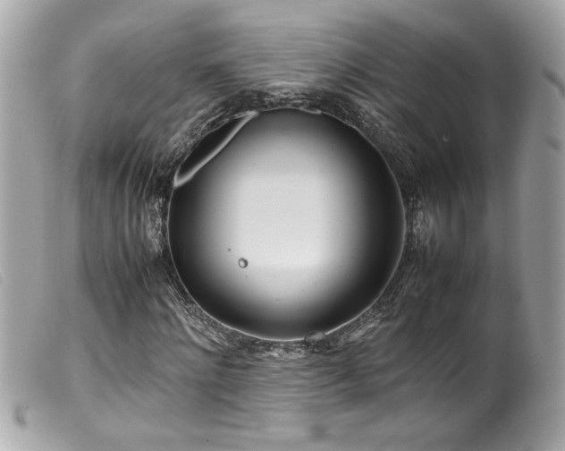 X0000100230868200805301410