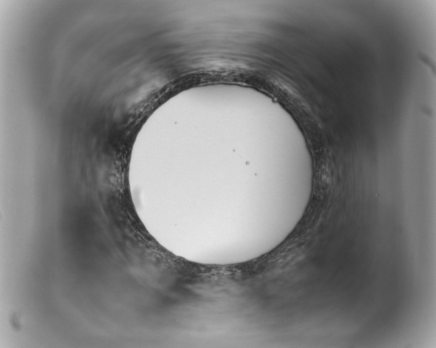 X0000100230869200805301410