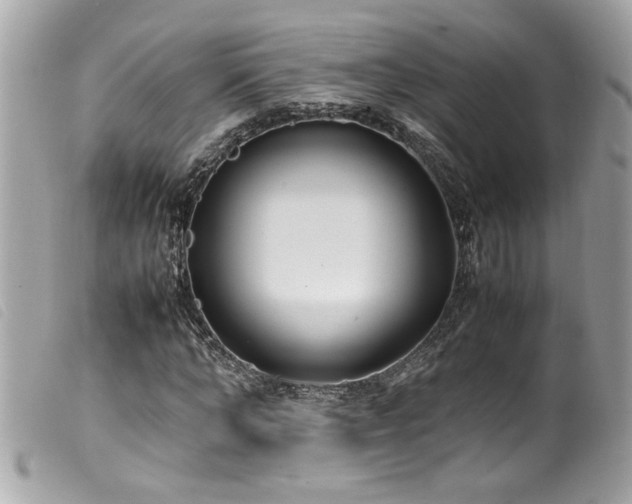 X0000100230870200805301410