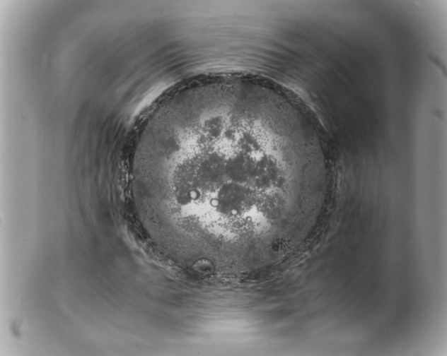 X0000100230871200805301410