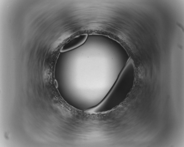 X0000100230872200805301410