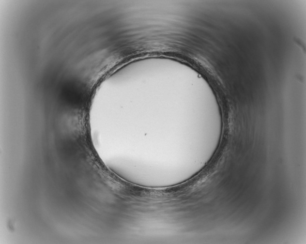 X0000100230873200805301410