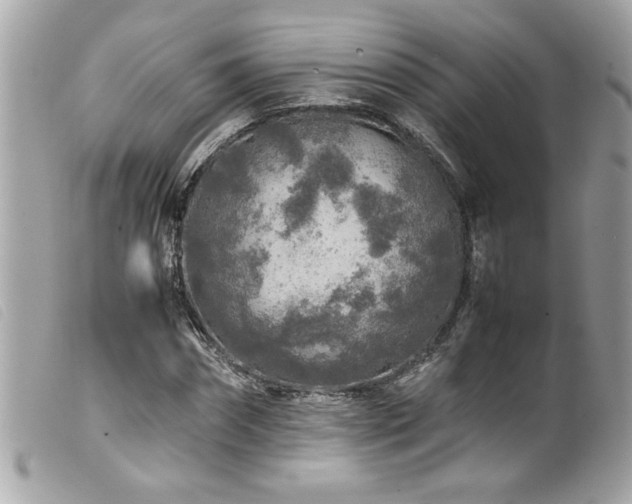 X0000100230874200805301410