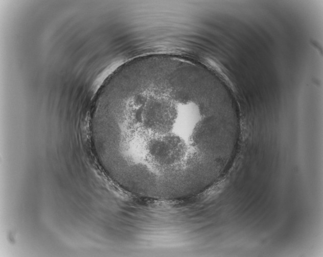 X0000100230875200805301410
