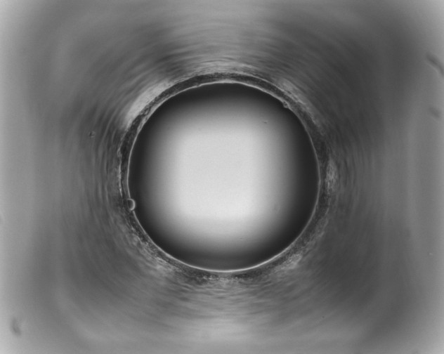 X0000100230877200805301410